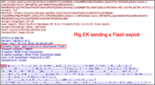 図5: Flashエクスプロイトを送信中のRig EK