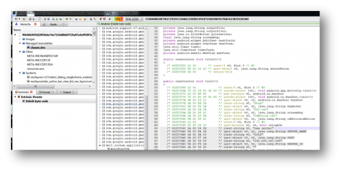 図3 – Cerberoプロファイラーを使っているDalvikバイトコード ビュー