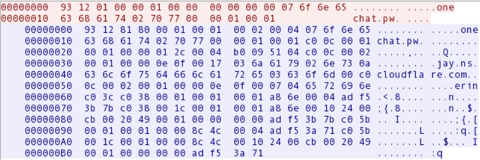 図 3HTTP リクエストの直前に発行された DNS リクエスト。