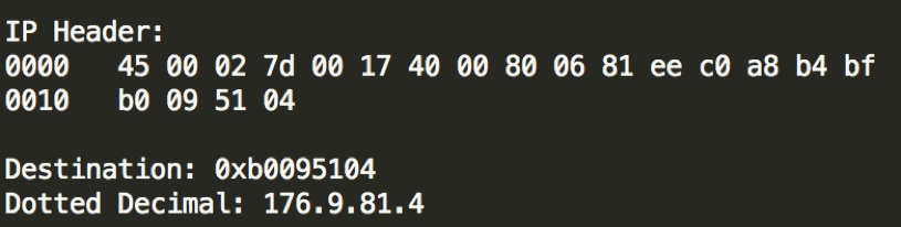 図 5Dimnie が最初の C2 サーバー通信において生成する HTTP GET リクエストから抽出した生の IP ヘッダの 16 進表現