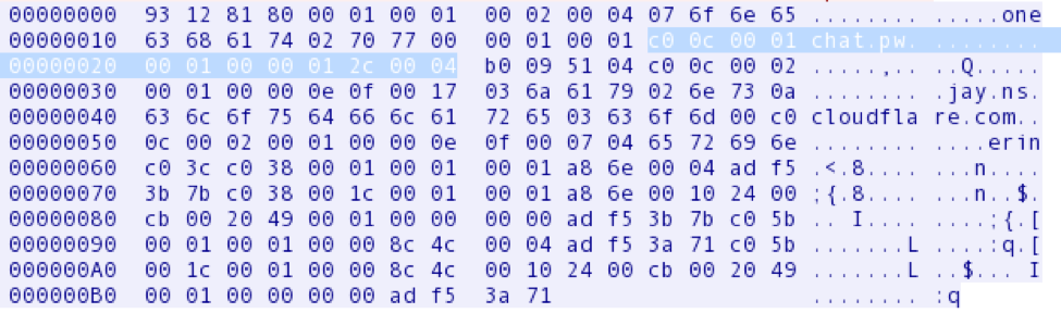 図 4. ネームサーバーは Type A のクエリに有効な応答を返しています