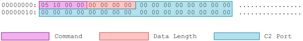 図6 – リモートC2へのDDKONGビーコン