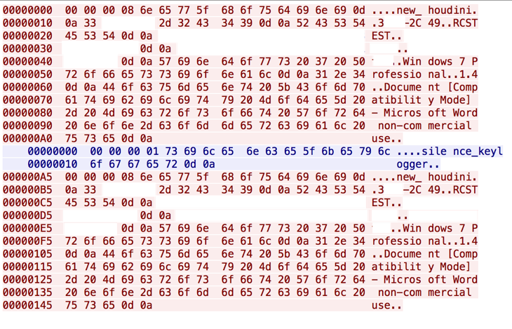 図 4 新しい通信プロトコルのパケット キャプチャ